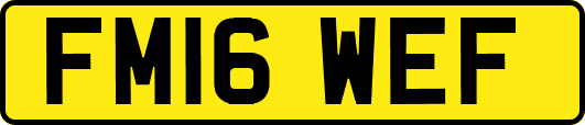 FM16WEF