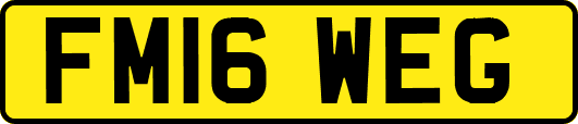 FM16WEG