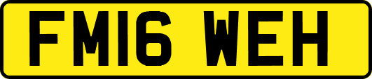 FM16WEH