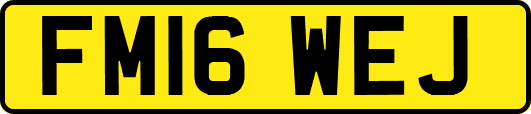 FM16WEJ