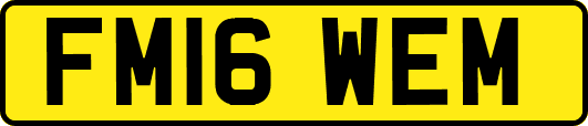 FM16WEM