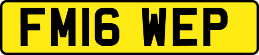 FM16WEP