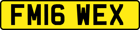 FM16WEX