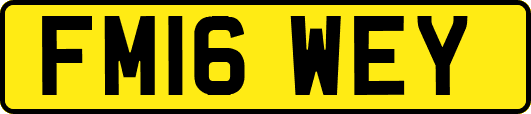 FM16WEY