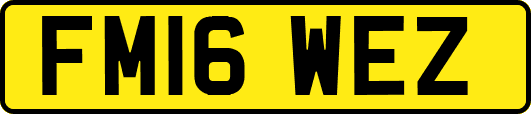 FM16WEZ
