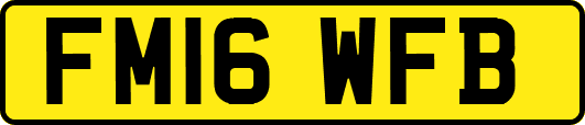 FM16WFB