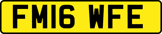FM16WFE