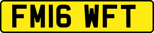FM16WFT