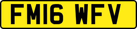 FM16WFV