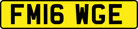 FM16WGE