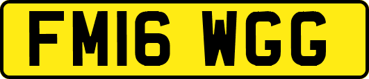 FM16WGG