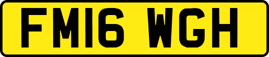 FM16WGH