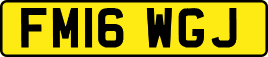 FM16WGJ