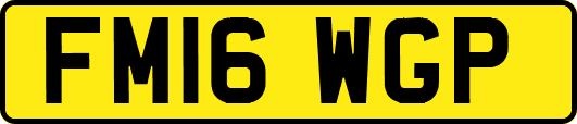 FM16WGP