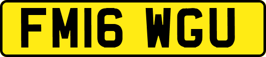 FM16WGU