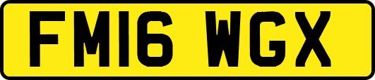 FM16WGX