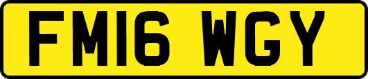 FM16WGY