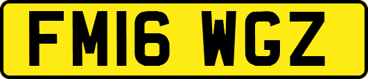 FM16WGZ