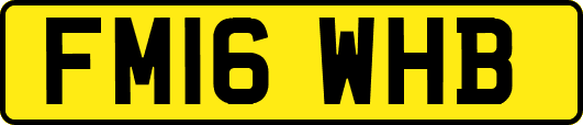 FM16WHB