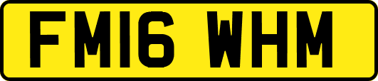 FM16WHM