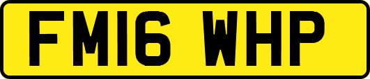 FM16WHP