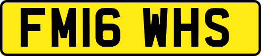 FM16WHS