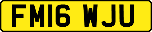 FM16WJU