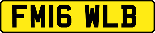 FM16WLB