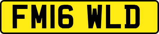 FM16WLD