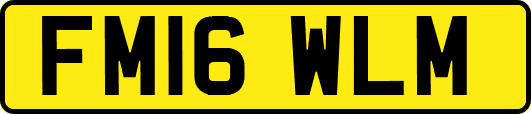 FM16WLM