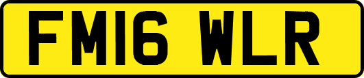 FM16WLR