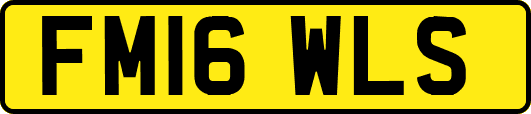 FM16WLS