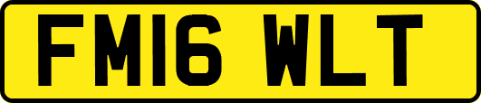 FM16WLT