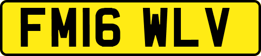 FM16WLV