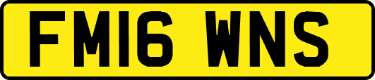 FM16WNS