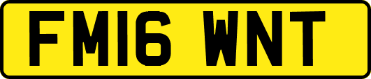 FM16WNT