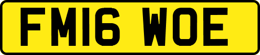 FM16WOE