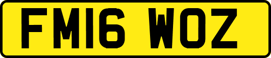FM16WOZ