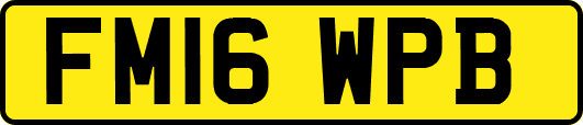 FM16WPB