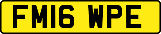 FM16WPE