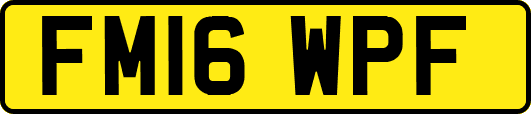 FM16WPF