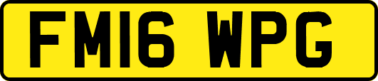 FM16WPG