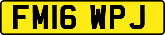 FM16WPJ