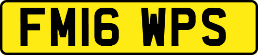 FM16WPS