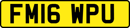 FM16WPU