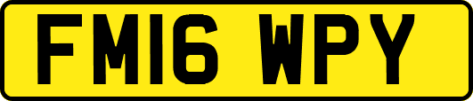 FM16WPY