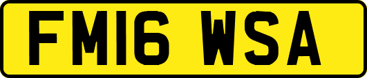 FM16WSA