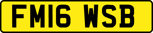 FM16WSB