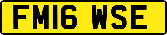 FM16WSE