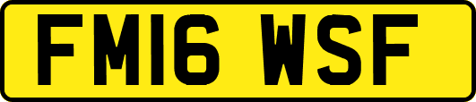 FM16WSF
